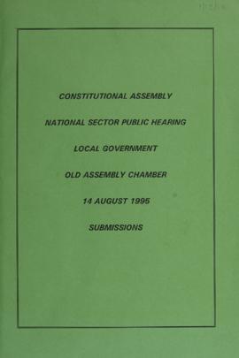 National Sector Public Hearing: Local Government