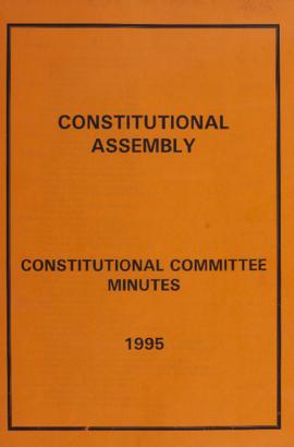 Constitutional Committee Minutes