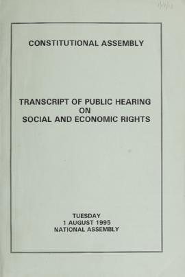 Transcript of Public Hearing on Social and Economic Rights