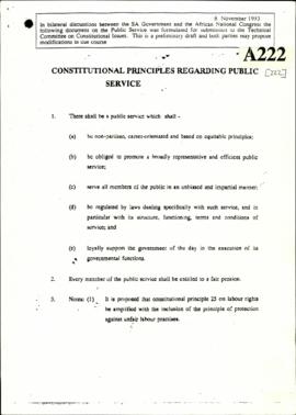 Constitutional Principles Regarding Public Service