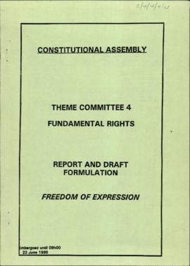 Report and draft formulation: Freedom of expression