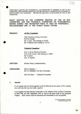 Minutes- Combined ad hoc and technical committee