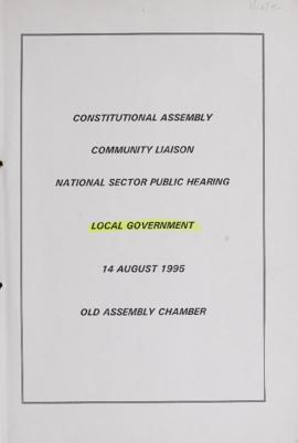 National Sector Public Hearing: Local Government