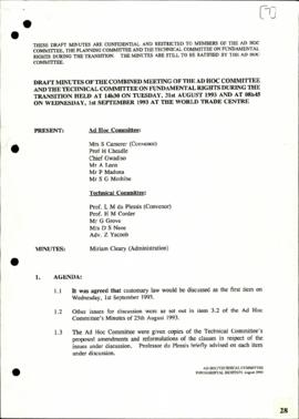 Minutes- Combined ad hoc and technical committee