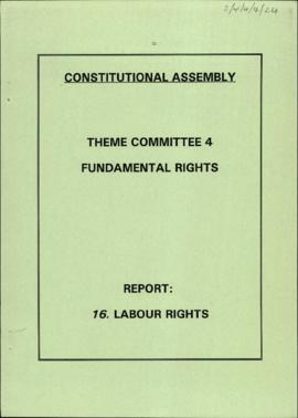 Report: 16. Labour rights