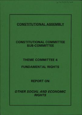 Report on Other Social and Economic Rights