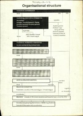 Organisational structure