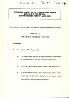 Technical Committee on Fundamental Rights during the Transition: Sixth Progress Report: June 1993