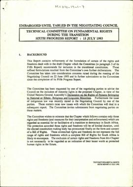 Technical Committee on Fundamental Rights During the Transition: Sixth Progress Report: 15 July 1993