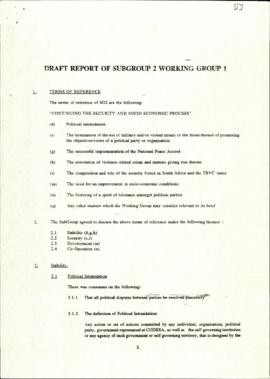 Draft Report of WGSG2