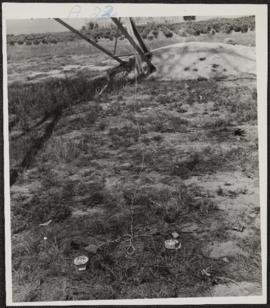 Sabotage images electrical pylons, A22