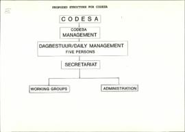 Proposed structure for CODESA 2