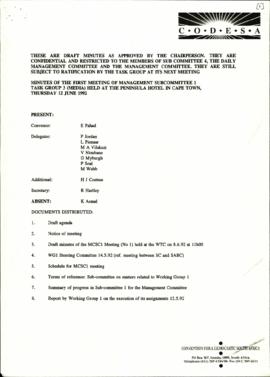 Minutes of the first meeting