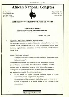 Fundamental Rights Submission on 10th Progress Report