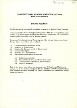 Constitutional Assembly National Sector Public Hearings. Briefing Document