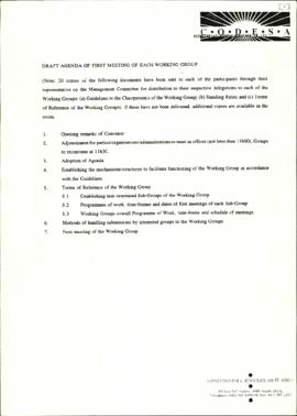 Draft agenda for the first meeting of each Working Group