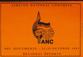 NEC Documents - 21-23 October 1991: Regional Reports