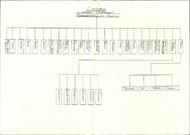 Copies of CODESA’s Structure (anonymous)